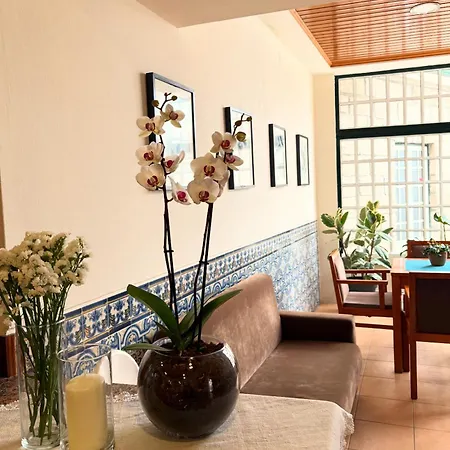 Residencial Sao Jose E Residencial Aguas Santas * 테르마스 드 상 페드루 두 술